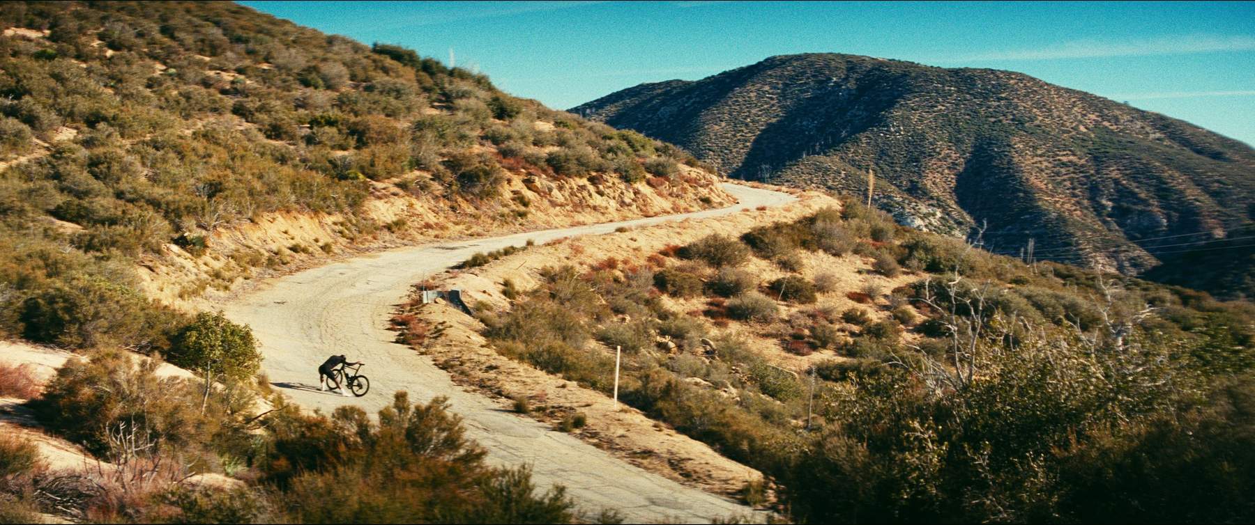 Camino still