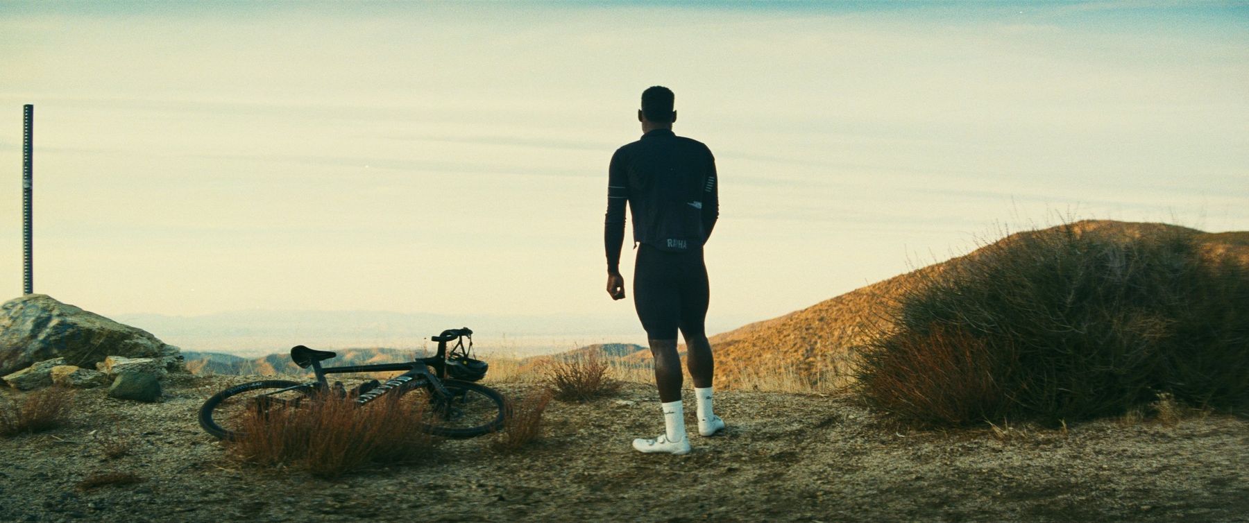 Camino still